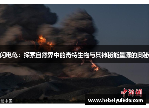 闪电龟：探索自然界中的奇特生物与其神秘能量源的奥秘